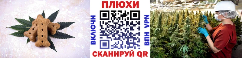 Canna-Cookies марихуана  Купить закладки  Сосновка 