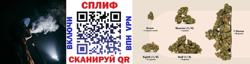Купить  Сосновка  Конопля семена 